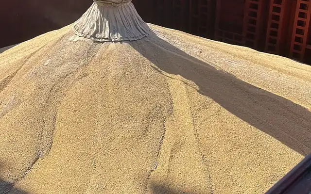 M/V ADVENTURE — Grain transport