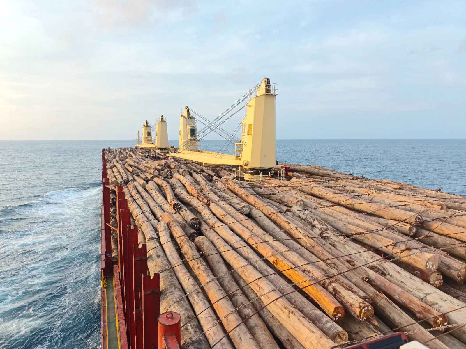M/V PEARL IVY — मलेशिया में लकड़ी के लट्ठों की लदाई